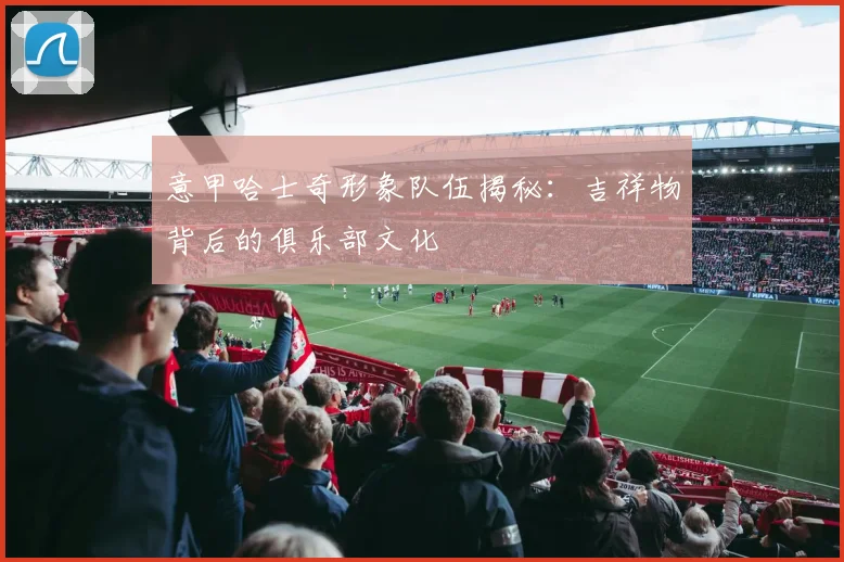 意甲哈士奇形象队伍揭秘：吉祥物背后的俱乐部文化