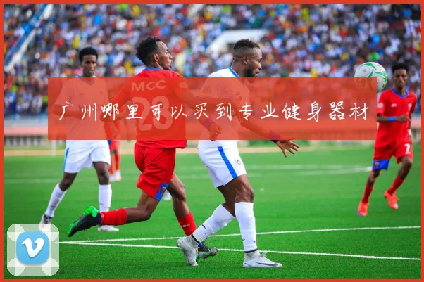 广州哪里可以买到专业健身器材