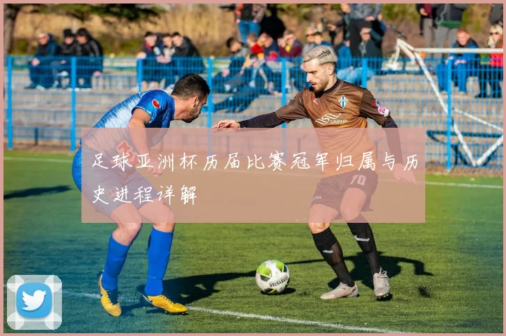 足球亚洲杯历届比赛冠军归属与历史进程详解