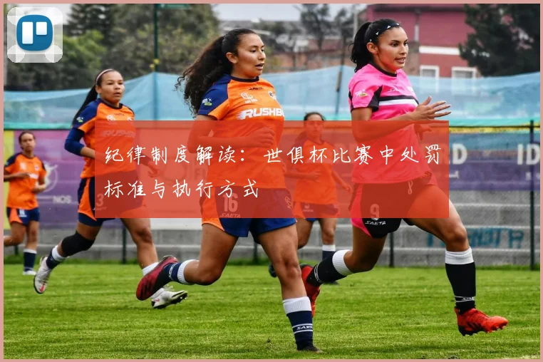 纪律制度解读：世俱杯比赛中处罚标准与执行方式
