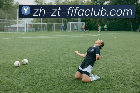 世界杯直播平台生态图